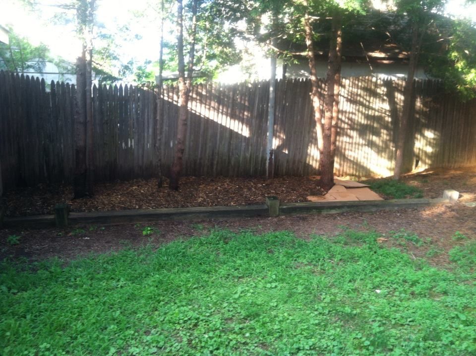 photo 1002283_10151517665222285_810665498_n.jpg